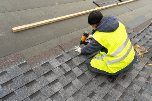 Best Residential Roofing Contractor  in Cheboygan, MI