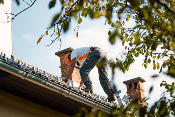 Best Roof Gutter Cleaning  in Cheboygan, MI
