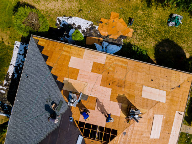 Best Metal Roofing Contractor  in Cheboygan, MI
