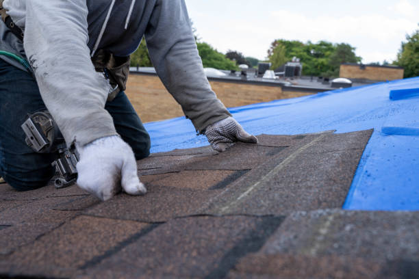 Best Flat Roof Repair Services  in Cheboygan, MI