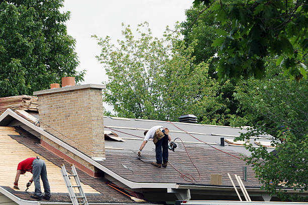 Best Gutter Installation and Roofing  in Cheboygan, MI