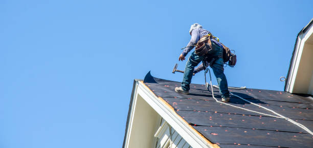 Best Roof Leak Repair  in Cheboygan, MI